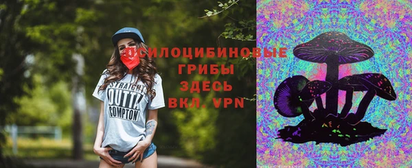 гидропоника Красноперекопск