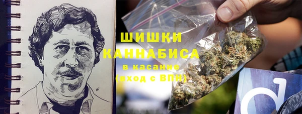 амф Костерёво